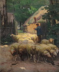 Shepherd With Sheep